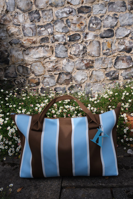 Blue & Brown Striped Everyday Bag
