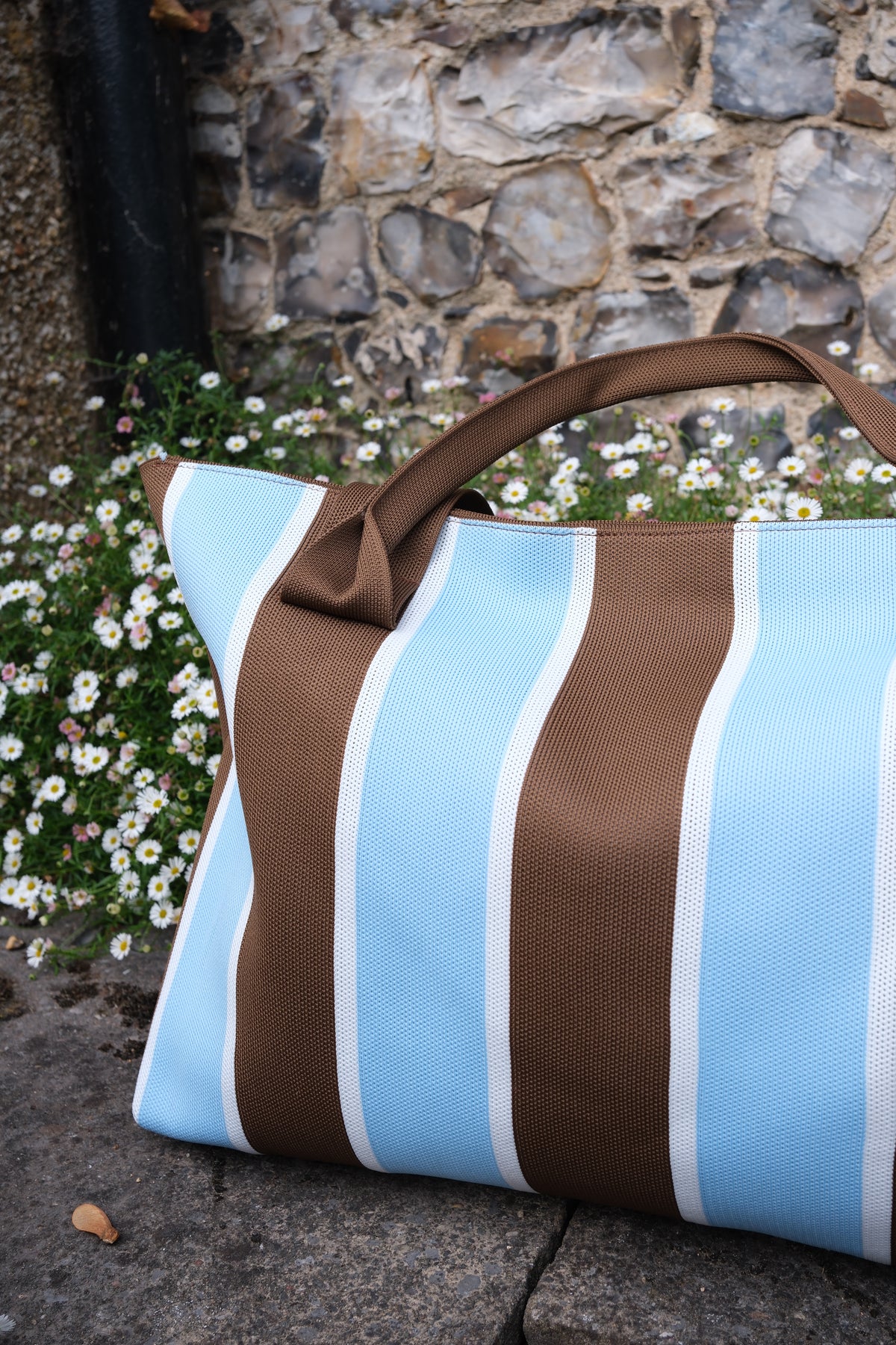 Blue & Brown Striped Everyday Bag