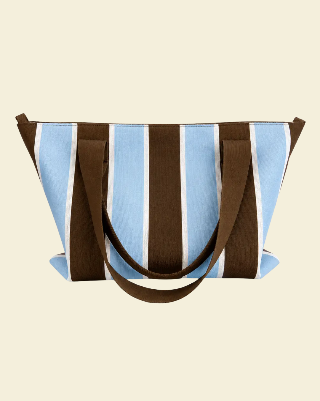 Blue & Brown Striped Everyday Bag