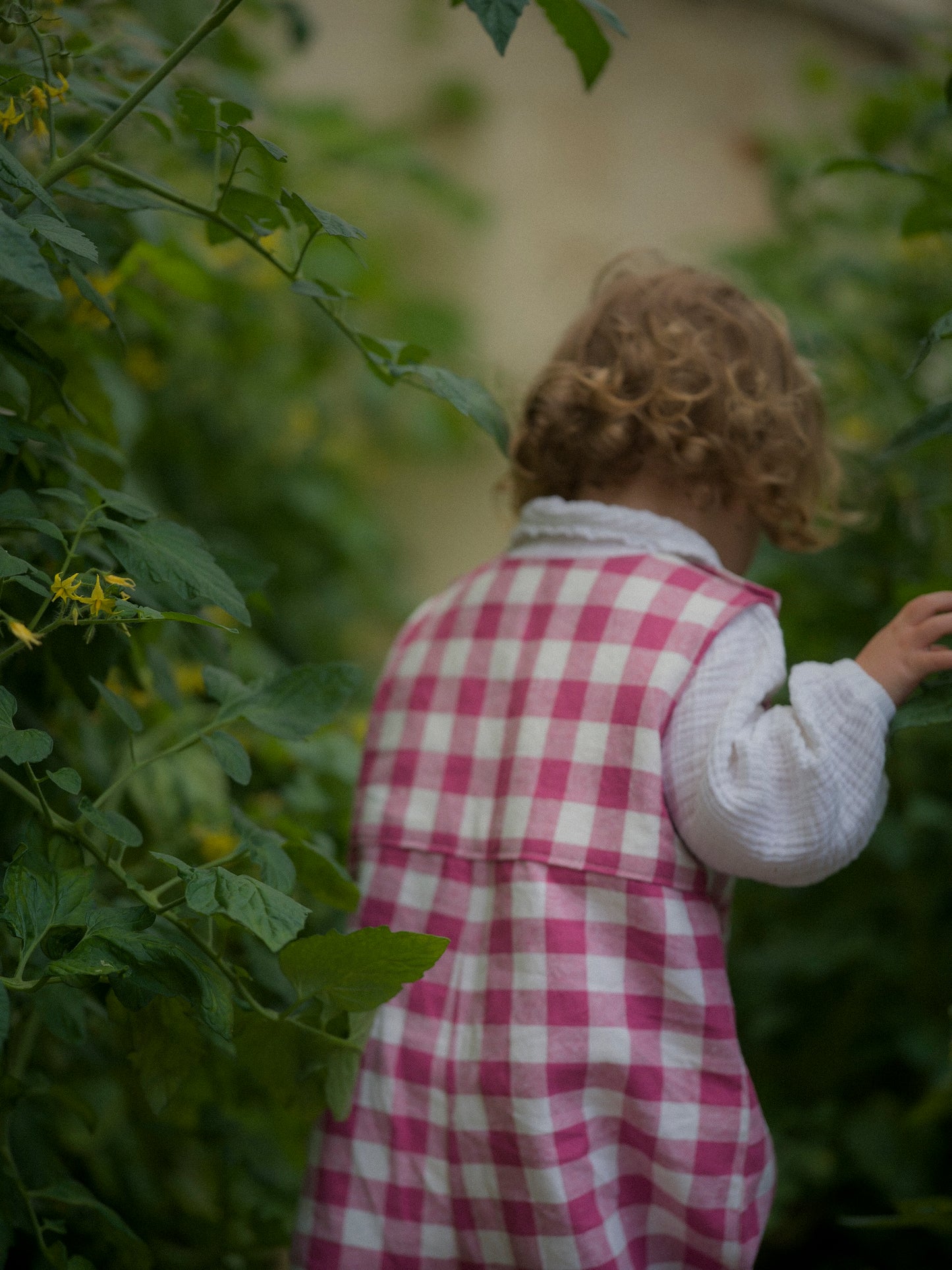 Gingham Dungarees Raspberry