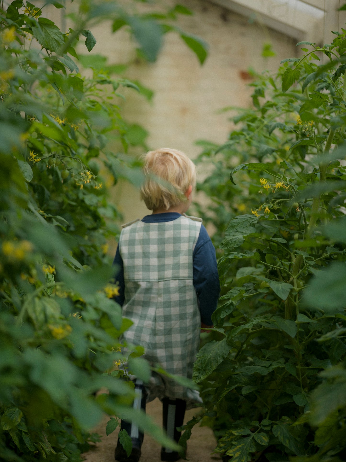 Gingham Dungarees Sea Green