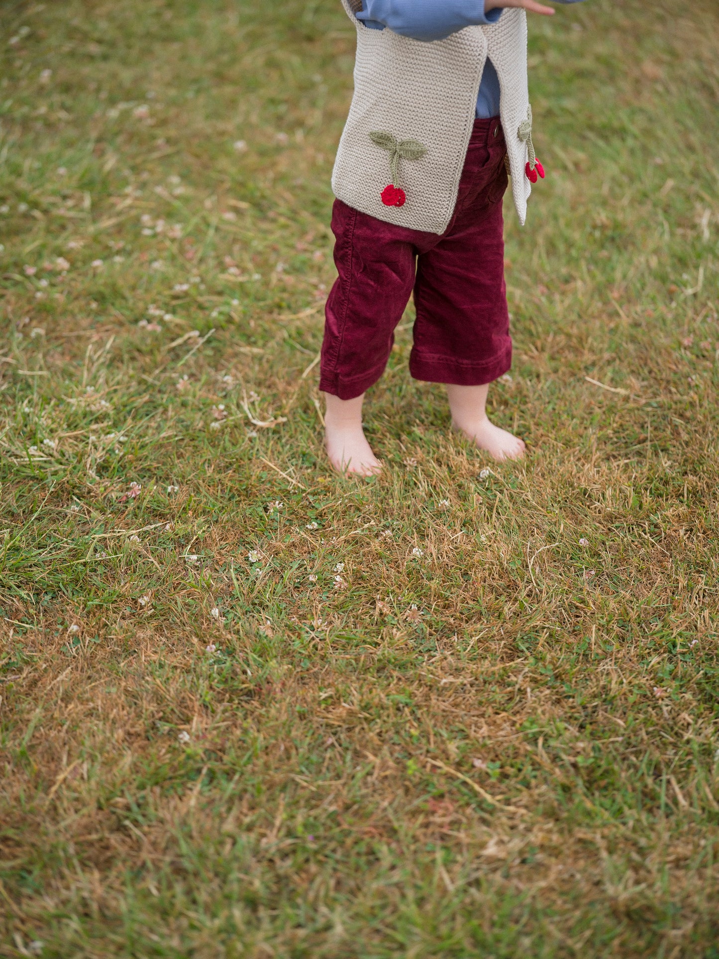 Beige Cherry Knitted Vest