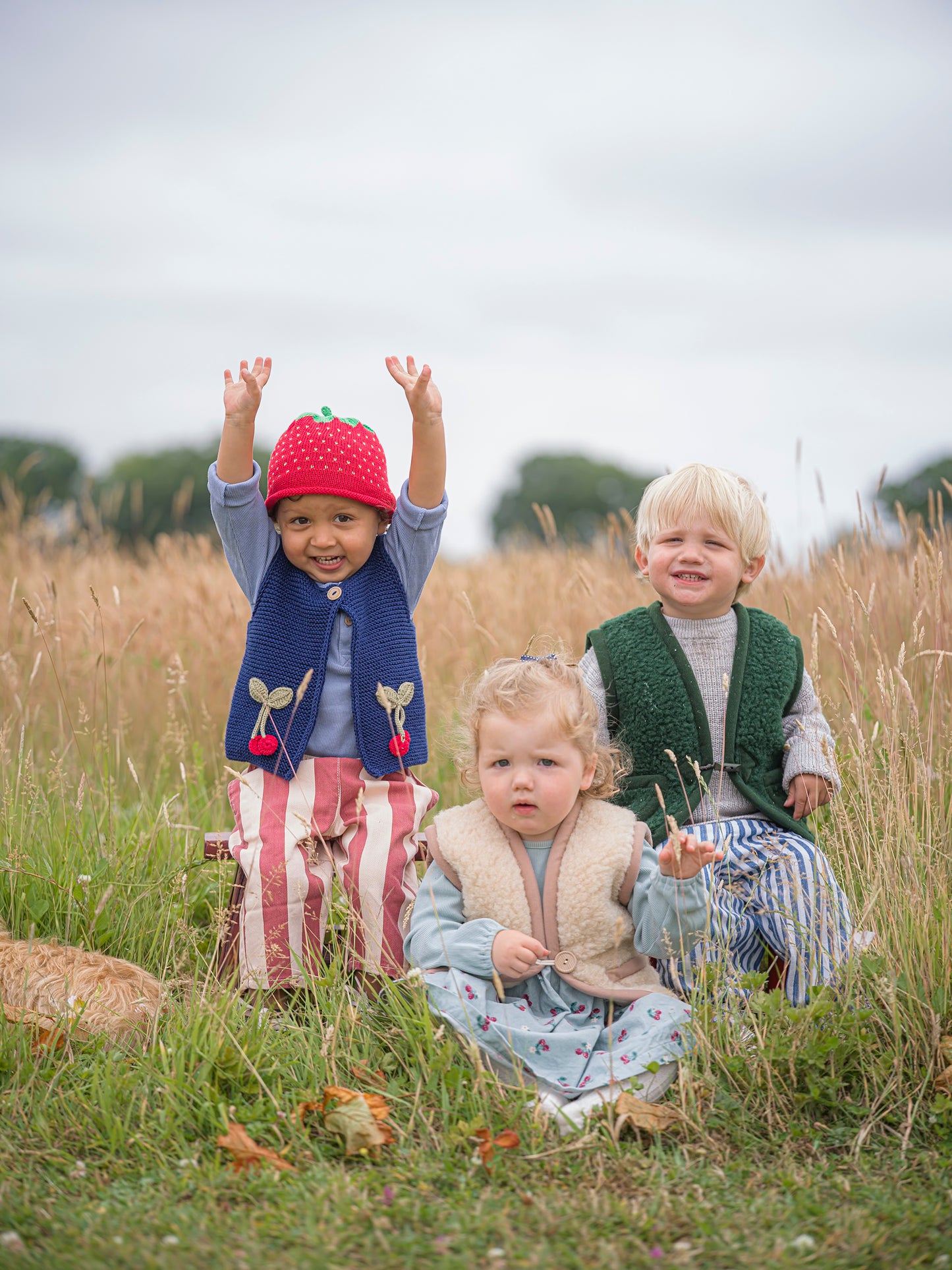Navy Cherry Knitted Vest