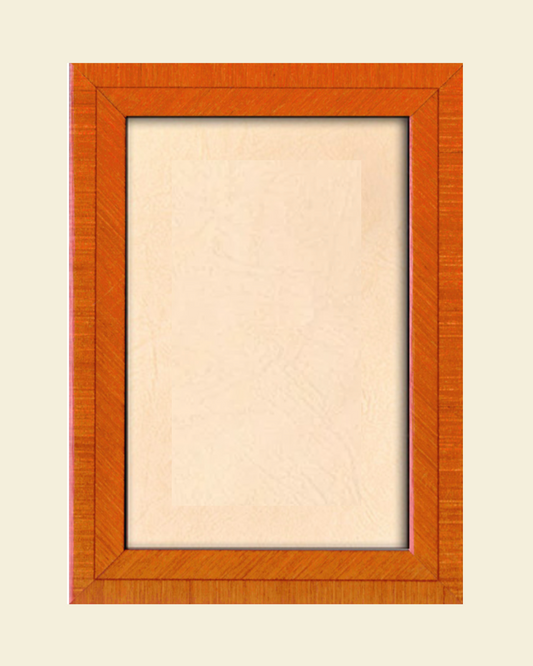 Orange Photo Frame